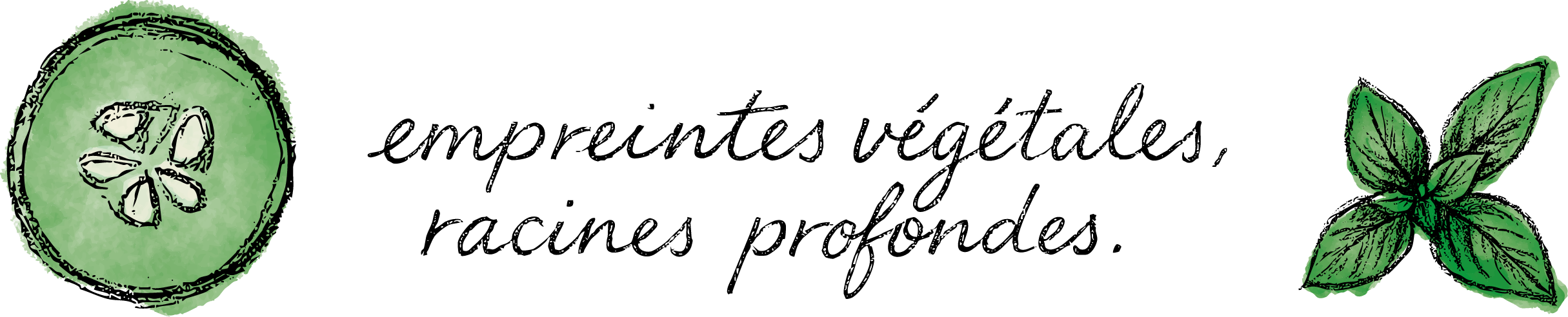 Collection Hugo Riboulet