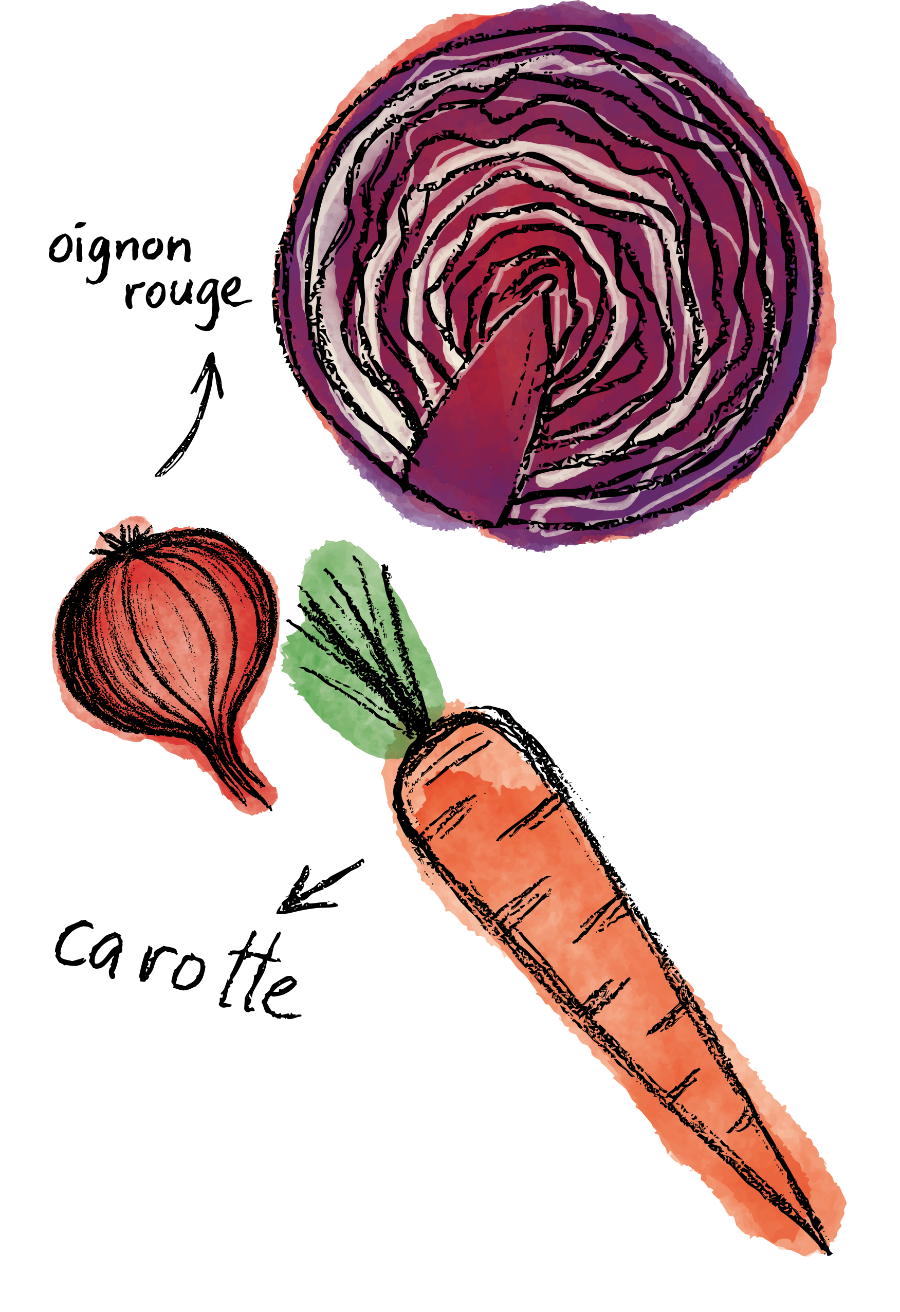 Collection Hugo Riboulet